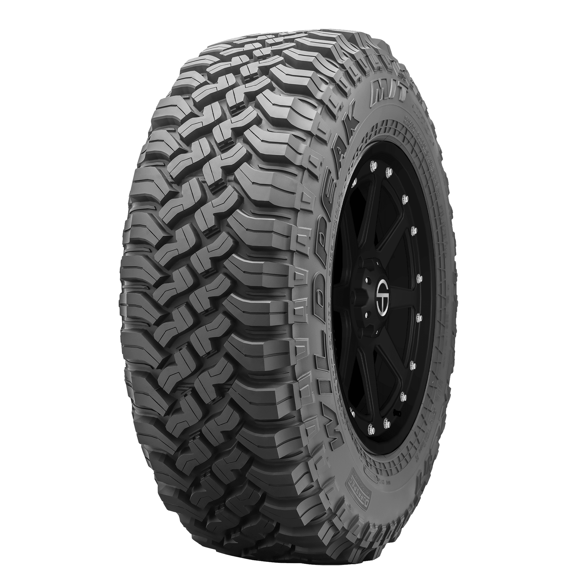 Wildpeak M/T01